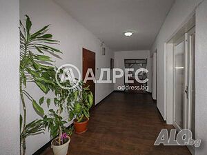 image_13
