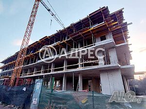 image_6