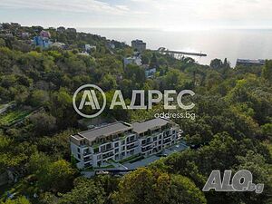 image_9