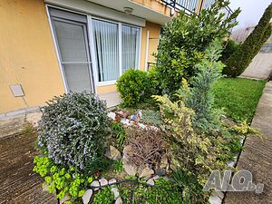 image_11