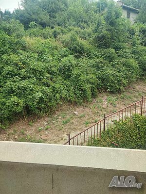 image_9