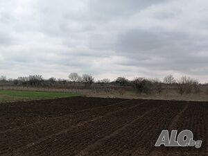 image_7