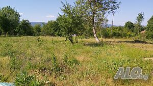image_9
