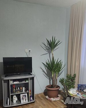 image_10