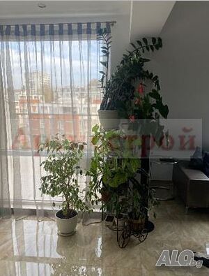 image_6
