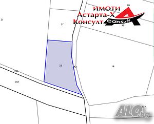 Астарта-Х Консулт продава орехова гора в село Узунджово