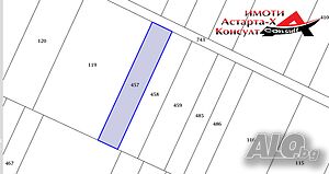 Астарта-Х Консулт продава -лозе в Поморие