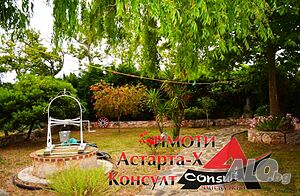image_12