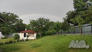 image_5