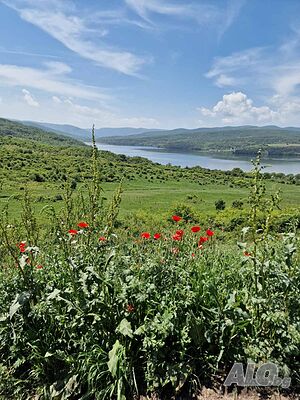 Земя 200 декара на язовир Пчелина/Лобош