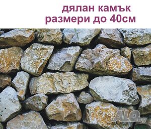 image_8