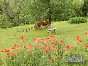 image_12