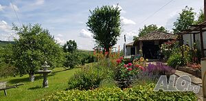 image_15