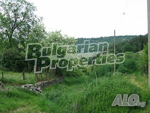 image_7