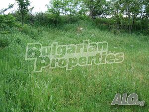 image_8
