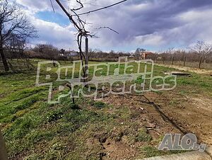 image_5