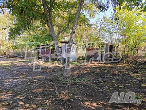 image_10