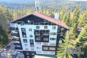 Феста Чамкория Форест Резиденс / Festa Chamkoria Forest Residence