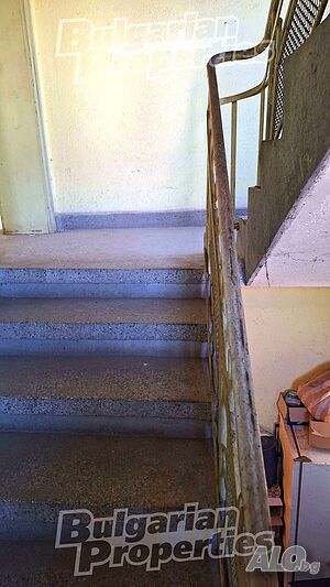 image_11