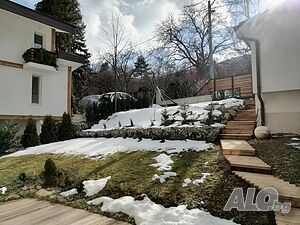 image_11