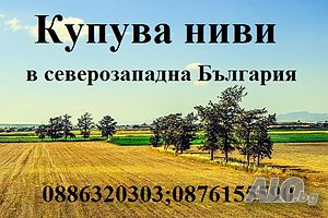 Дейвид ГРУП ЕООД -купува обработваеми земеделски земи в област Враца