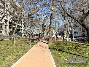 image_11