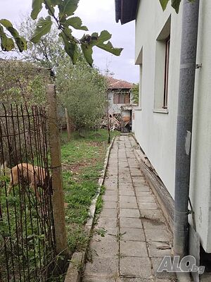 image_3