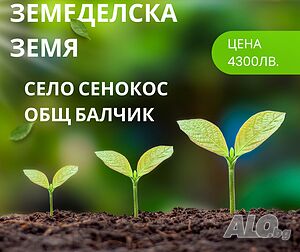 Земеделска земя на асфалтов път село Сенокос общ. Балчик