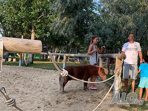 image_45