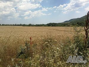 For Sale 204512SqFt (19021 Sqm) Investment Building Land By Owner For Villas Pomorie Bulgaria.