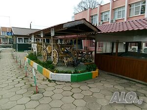 image_11