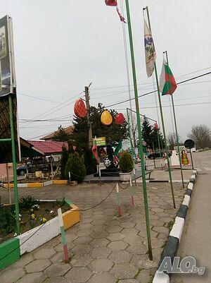 image_12