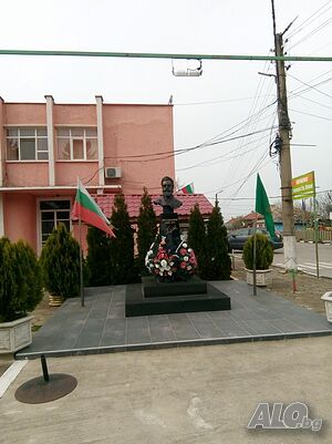 image_13