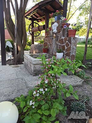 image_33