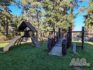image_11
