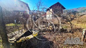 image_9