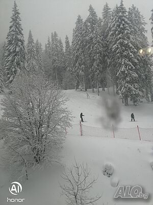 image_46