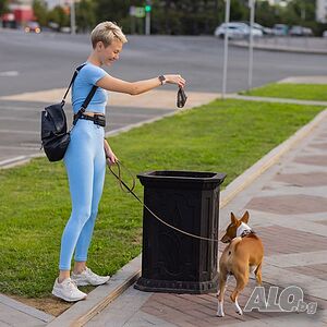 image_11