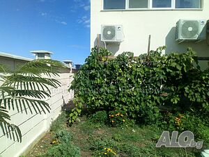 image_9