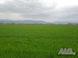 Парцел с лице на магистрала Тракия и до село Цалапица