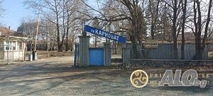 image_11