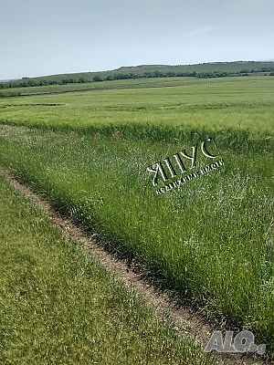 4 000дка, гр. Каблешково, м. Пъдарска могила - поземлен имот - 7 000Е