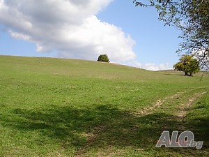 Парцел за продажба близо до гр. Елена и язовир ”Йовковци”