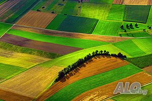 Нива Парцел Земеделска земя в село Гълъбник до София Перник Радомир