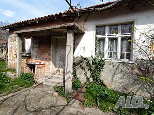 image_8