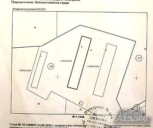 ферма-- свинеферма