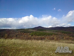 Парцел извън регулация