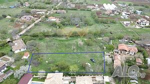 image_6