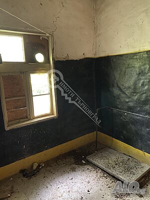 image_7