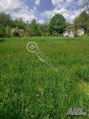 image_12